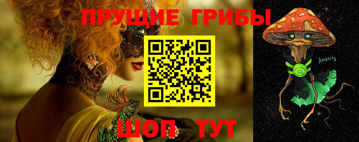 Кувандык  Псилоцибиновые грибы мухоморы  Вход с VPN 